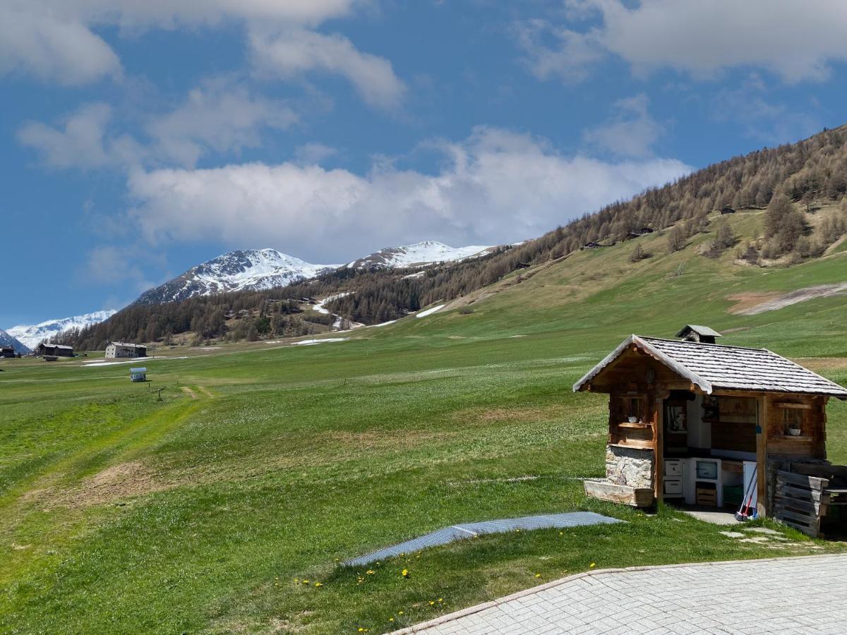 Apartament Mountain Chalet Milly Livigno Zewnętrze zdjęcie